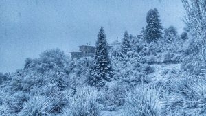 15194405_10210071323872899_3114859148820271643_o