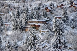 15272171_10210101875116661_4108177972499248833_o