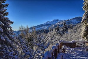 15304093_10210101887356967_3540481520059557221_o