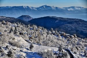 15304210_1168849933169274_8019611541450071620_o