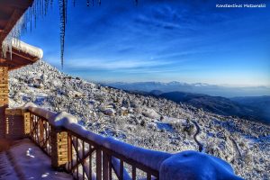 15325266_10210086334048144_3416555567005597971_o